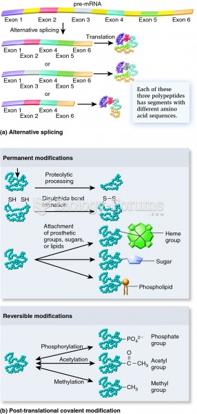 Cellular mechanisms that increase protein diversity