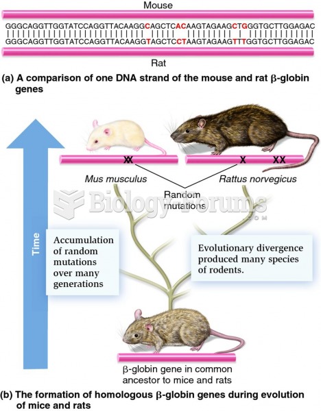 Structure and formation of the homologous ?-globin genes in mice and rats