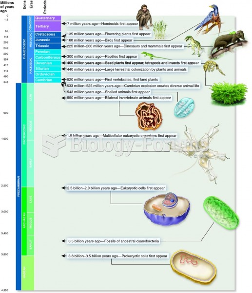 The geological timescale and an overview of the history of life on Earth