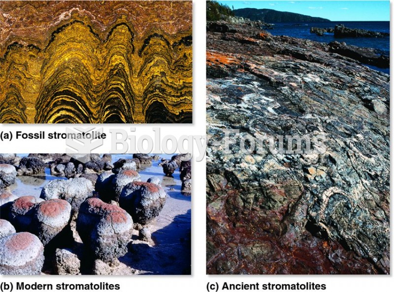 Fossil and modern stromatolites: evidence of autotrophic cyanobacteria.