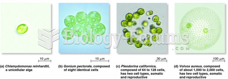 Variation in the level of multicellularity among volvocine algae