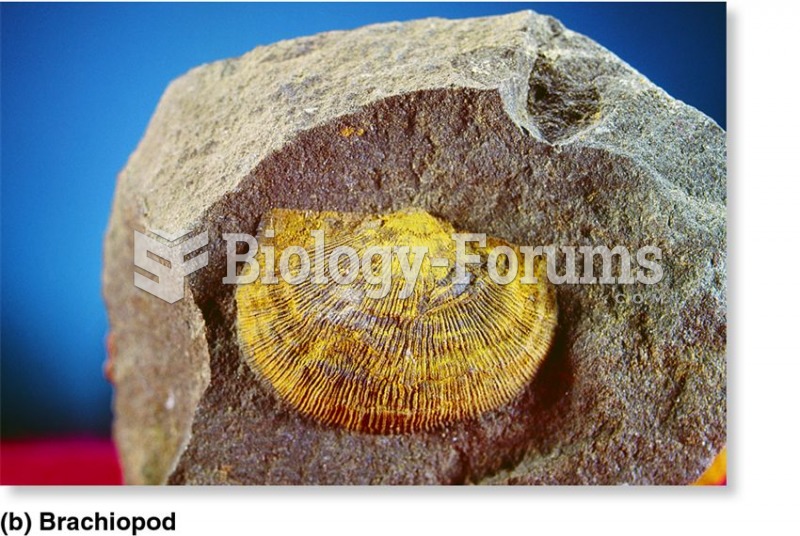 Shelled invertebrate fossils of the Ordovician period