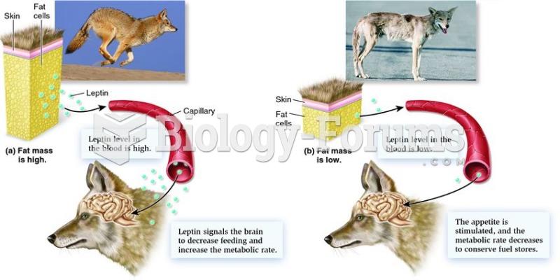 The role of leptin in regulating appetite and metabolic rate.