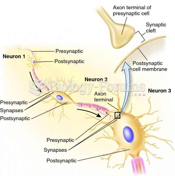 Presynaptic and postsynaptic cells.