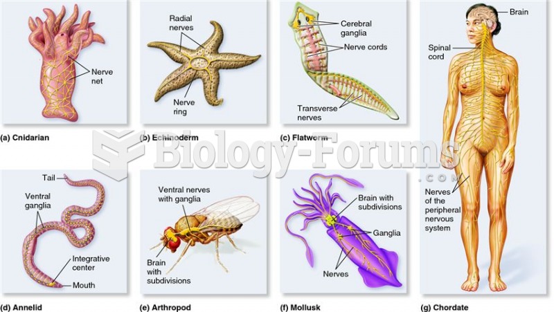 Representative nervous systems throughout the animal kingdom.