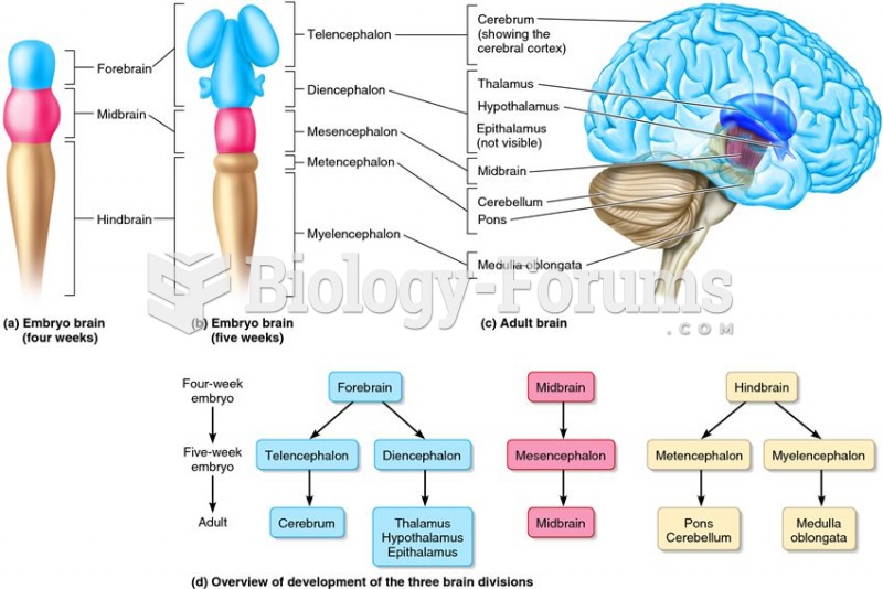 Development of the human brain.