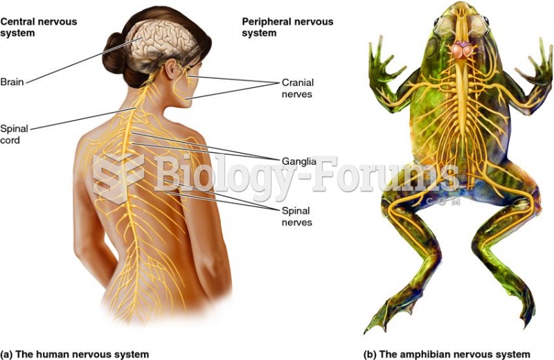 Organization of the vertebrate nervous system.