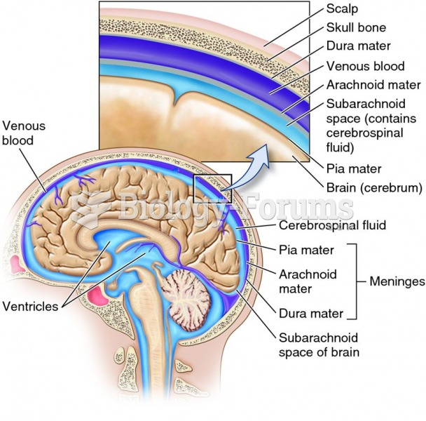 The meninges and ventricles of the CNS.
