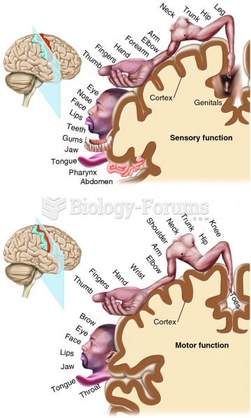 Homunculus maps of human body parts along the cerebral cortex.
