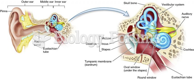 The structure of the human ear.