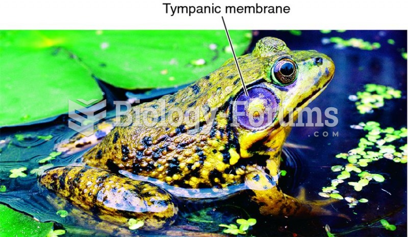 The tympanic membrane of a frog.