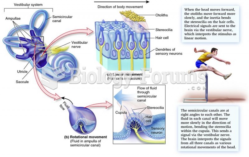 The vertebrate vestibular system.