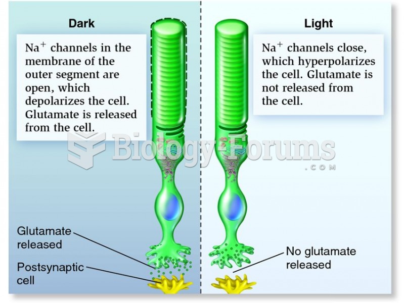 Synaptic response of photoreceptors to dark and light.