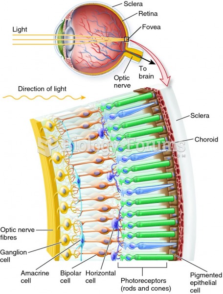 The arrangement of cells in the retina.