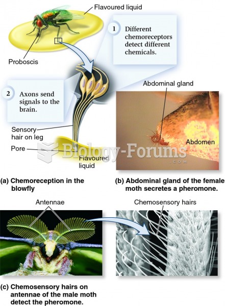 Chemoreception in insects.