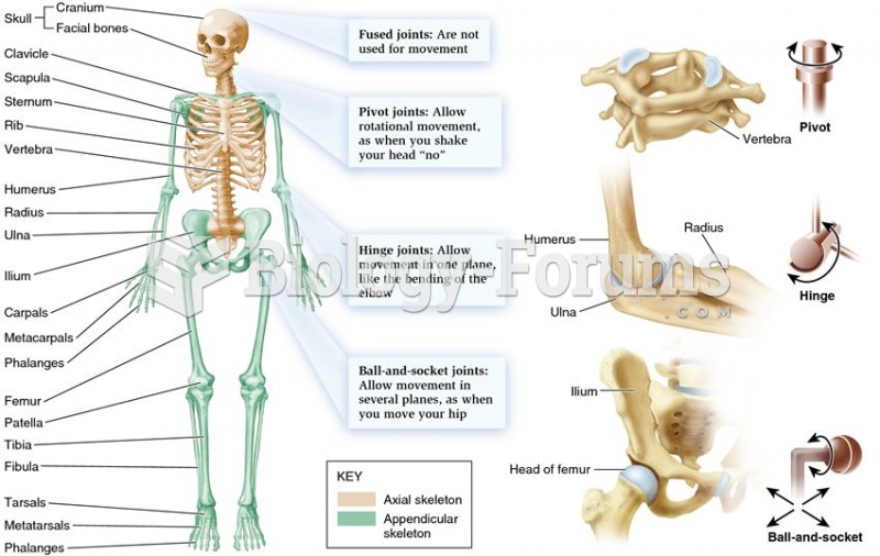 The vertebrate endoskeleton.