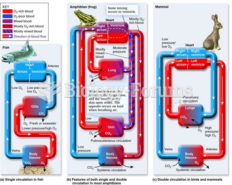 Representative vertebrate circulatory systems.