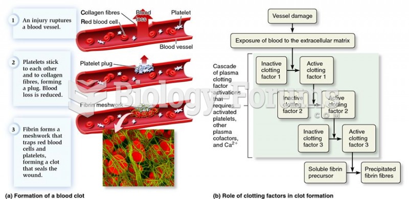 Platelets and the process of blood clot formation.