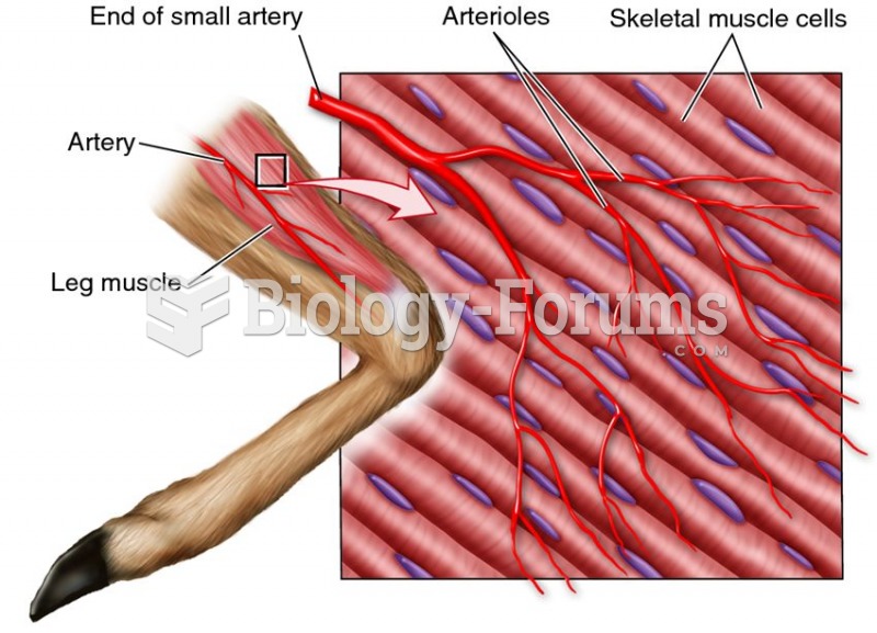Arteries and arterioles.