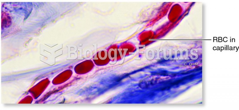 Erythrocytes (red blood cells) moving through a capillary in single file.