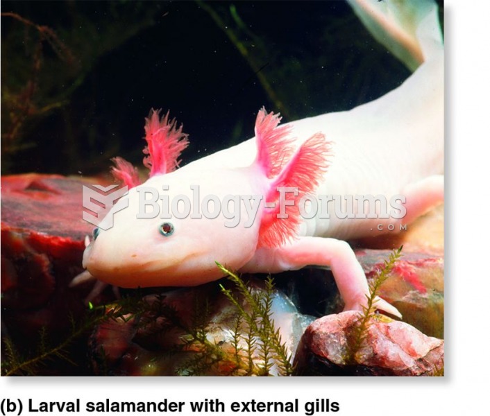 Examples of animals with external gills.