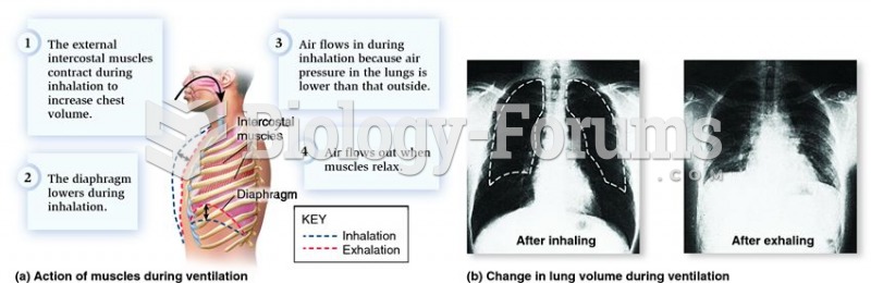 Ventilation of the mammalian lung by negative pressure filling.