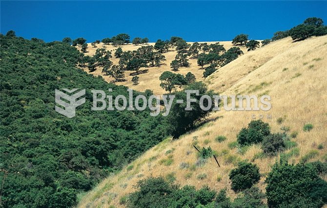 The north-facing slope at this site supports a Mediterranean woodland, while the vegetation on the s