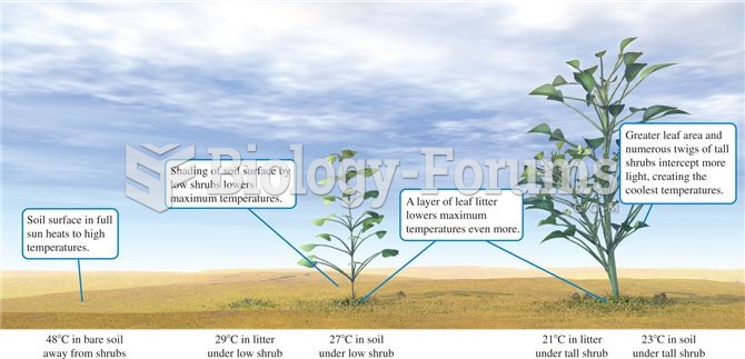 Desert shrubs create distinctive thermal microclimates in the desert landscape