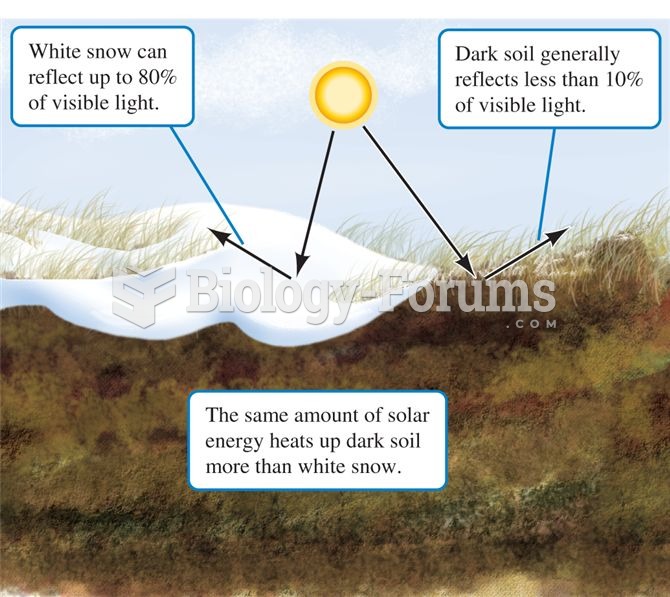 By reflecting most visible light, snow creates a much cooler microclimate than nearby bare ground.