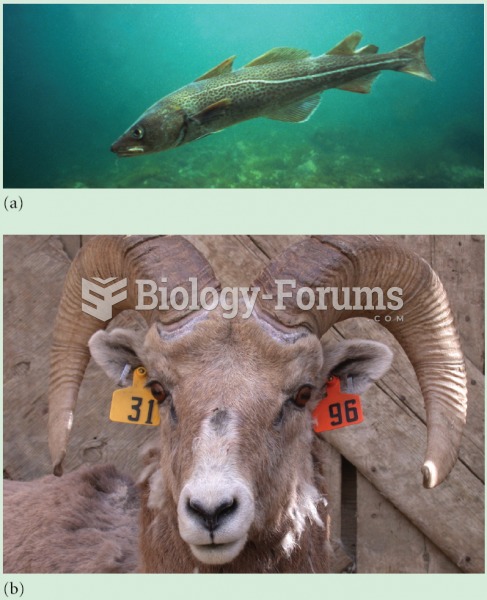 Continued harvest of (a) cod and (b) mountain sheep by humans has caused evolutionary changes in mat