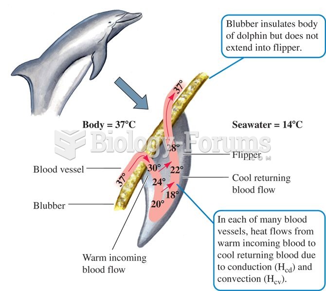 Countercurrent heat exchange in dolphin flippers promotes conservation of body heat.