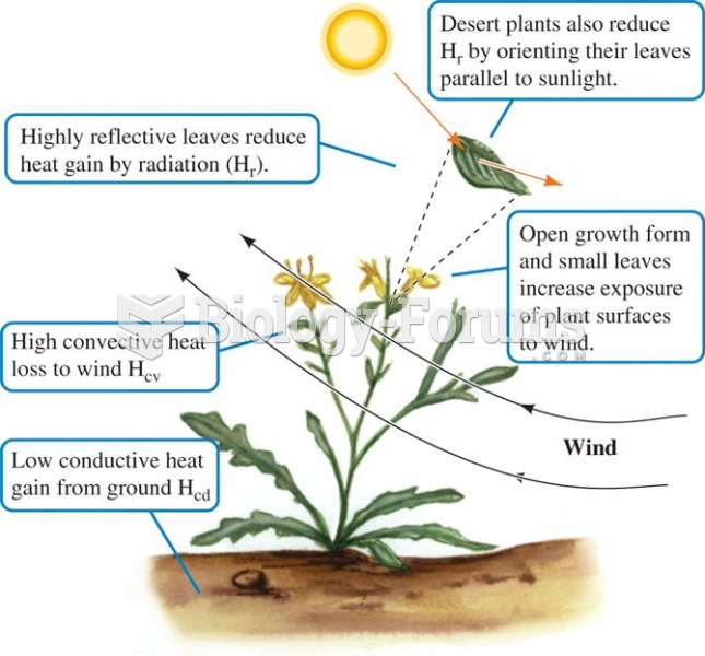 The form and orientation of desert plants reduces heat gain from the environment and facilitates coo