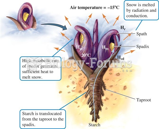 Eastern skunk cabbage, an endothermic plant, can melt its way up through spring snow cover