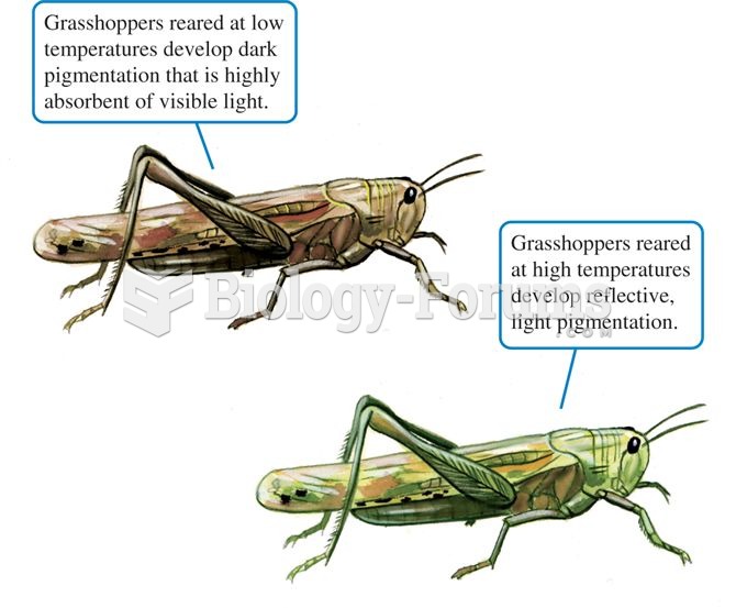 Rearing temperatures influence the pigmentation of the clear-winged grasshopper.