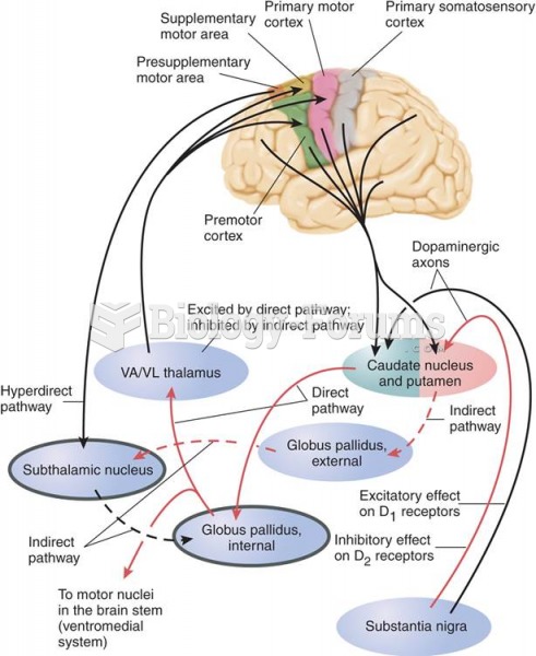 Connections of the Basal Ganglia  