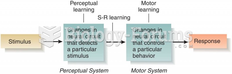 An Overview of Perceptual, Stimulus–Response (S-R), and Motor Learning