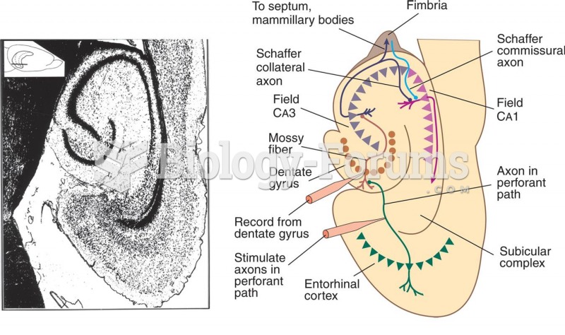 The Hippocampal Formation and Long-Term Potentiation 