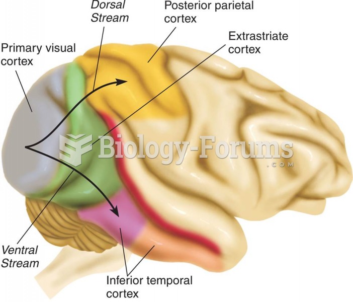 The Major Divisions of the Visual Cortex of the Rhesus Monkey  