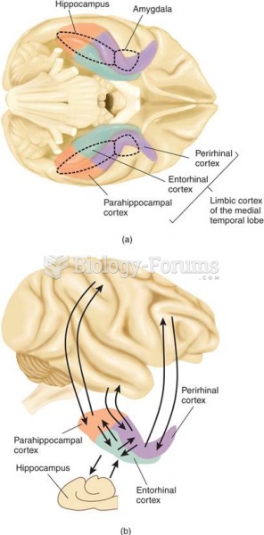 Cortical Connections of the Hippocampal Formation 
