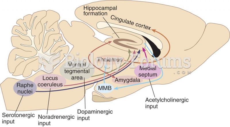 The Major Subcortical Connections of the Hippocampal Formation 