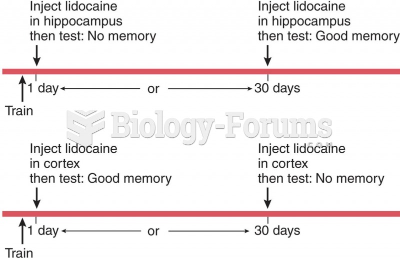 A Schematic Description of the Experiment by Maviel et al. (2004)