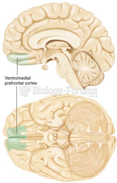 The Ventromedial Prefrontal Cortex