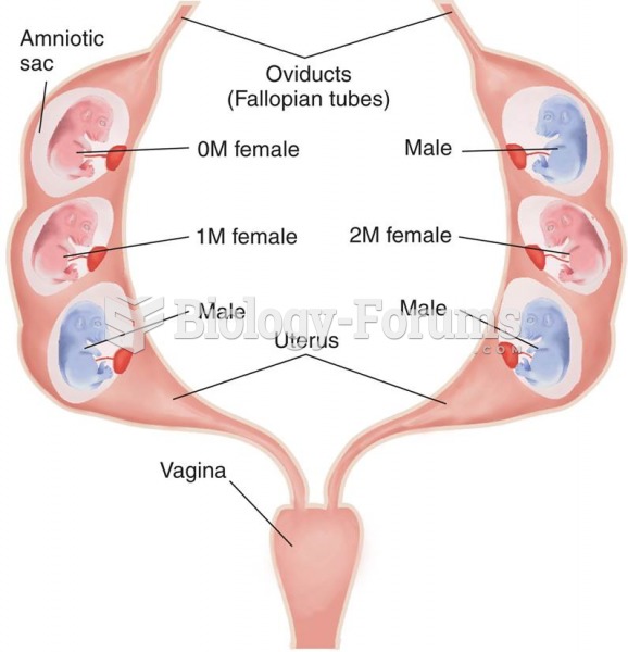 0M, 1M, and 2M Female Mouse Fetuses