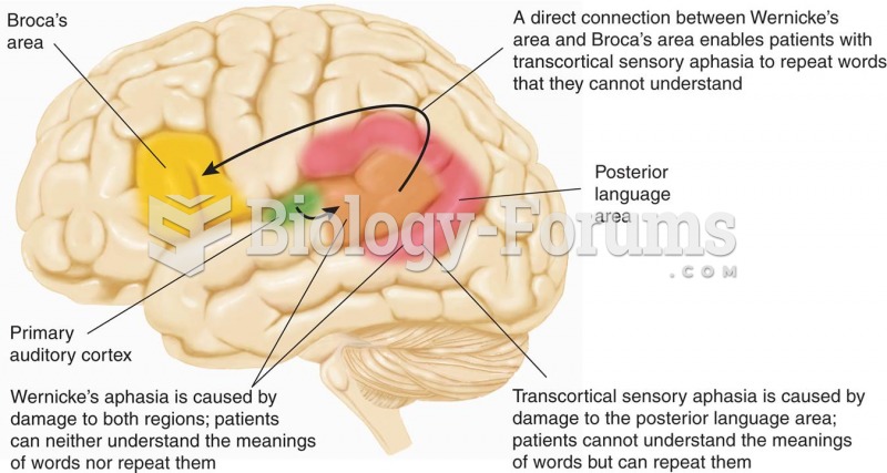 Transcortical Sensory Aphasia and Wernicke’s Aphasia