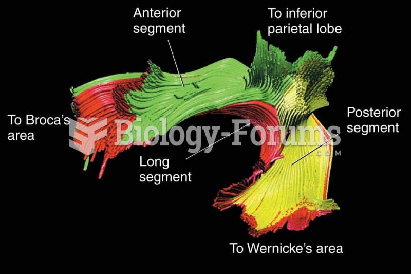 Components of the Arcuate Fasciculus 