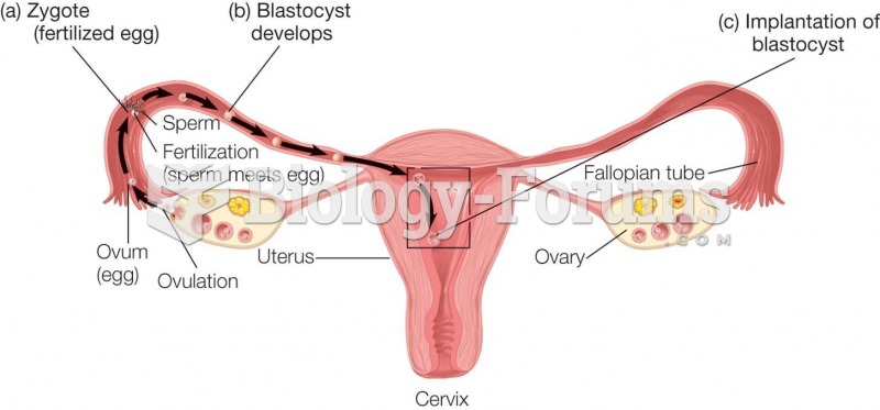 Ovulation Process  The two ovaries alternate ovulation in each monthly cycle.