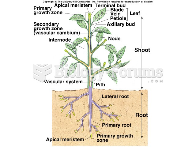 Plant Parts Diagram