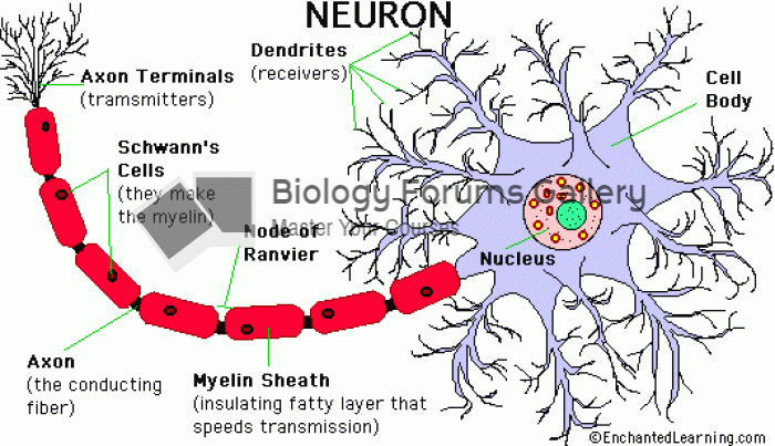 Neuron Diagram