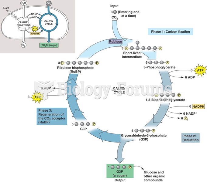 Cellular Respiration -- Calvin Cycle