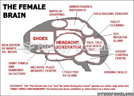 The female brain